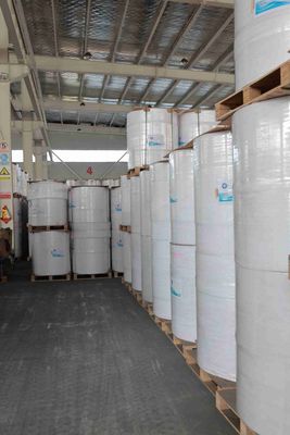 Công nghệ in nhiệt trực tiếp giấy dán nhãn nhiệt hình ảnh đen ≥ 5 năm Thời gian sử dụng hình ảnh