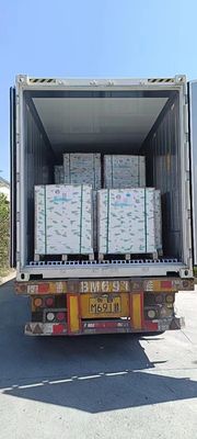 Carbonless Cb/Cfb/Cf-55/50/55 Gsm 3ply NCR Paper Black Image Blue Image 43*61 61*86