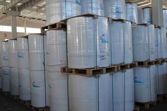 100% nhập khẩu gỗ nguyên thủy bột BPA miễn phí giấy nhiệt cao độ mịn mượt căng mạnh tuổi thọ hình ảnh dài