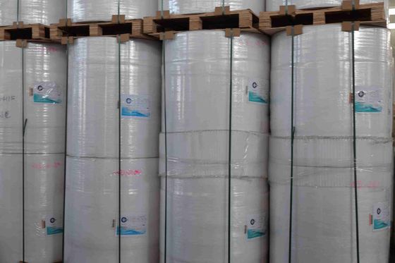 Professional Durable Thermal Label Paper Roll For Various Labeling 3 Inch Core ≥5 Years Image Life