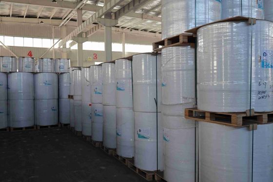 Giấy nhiệt không chứa BPA thương hiệu Focus Độ mịn cao Mật độ quang học phù hợp Bột gỗ nhập khẩu 100%